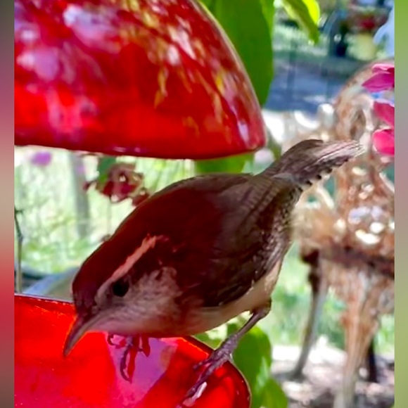 Meet your Posher, Shawn - Picture 7 of 13